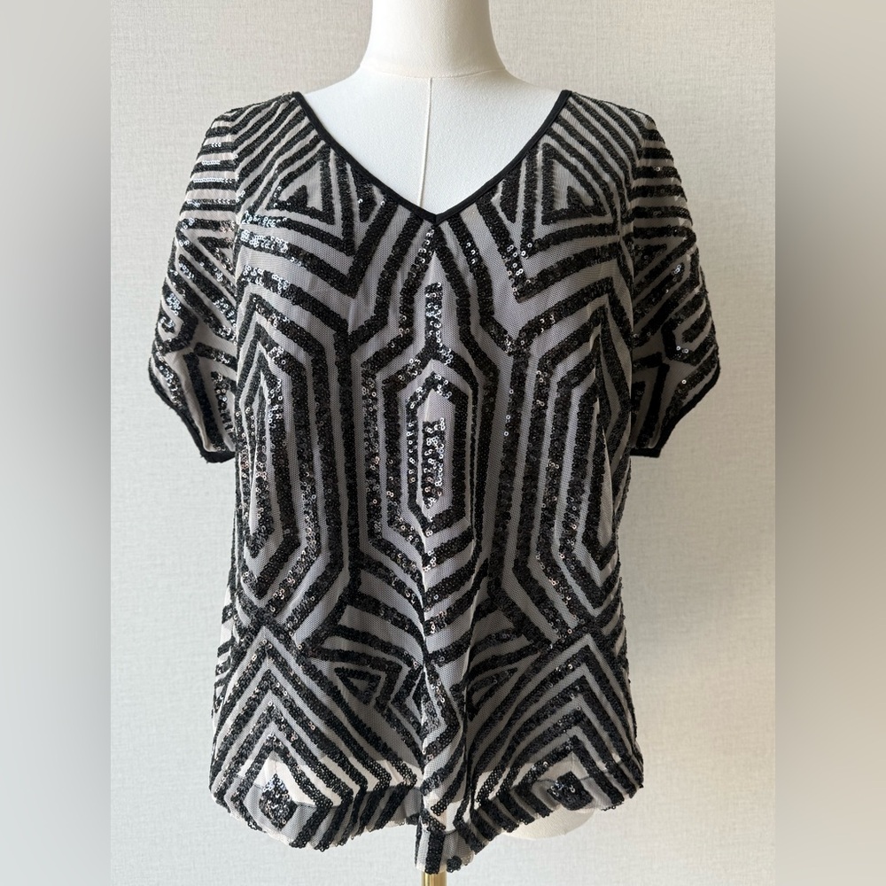Porridge Black Sequin Geometric V-Neck Blouse